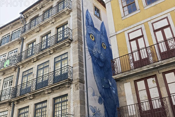 Mural blue cat