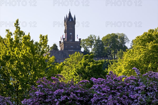 The Wilhelm Tower in Dillenburg