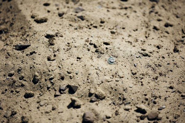 The detonator of a landmine looks out of the ground. Taken during a praeation of the Mongolian military. Nalaikh