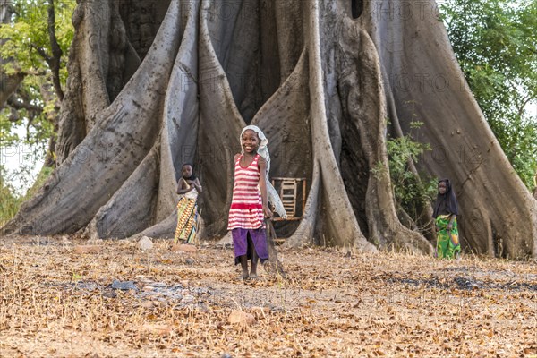 Children in front of the large board roots of a huge kapok tree