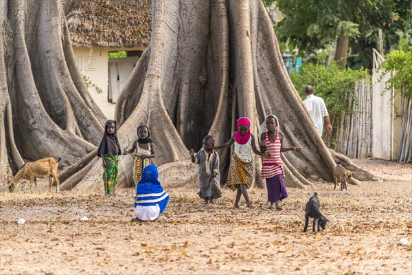Children in front of the large board roots of a huge kapok tree