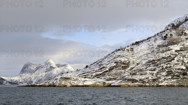 Granite Cliffs