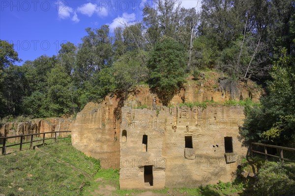 Etruscan Necropolis la Cava del Tufo