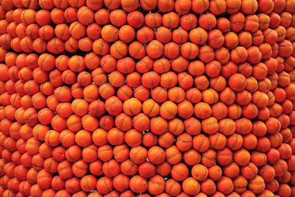 Oranges