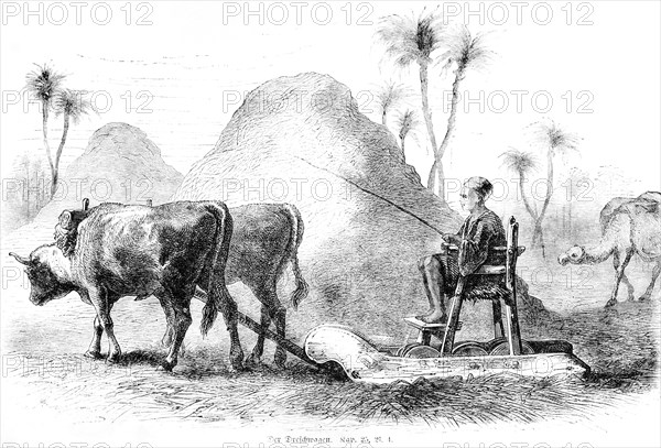 The threshing wagon
