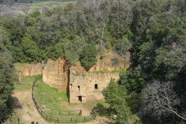 Etruscan Necropolis la Cava del Tufo