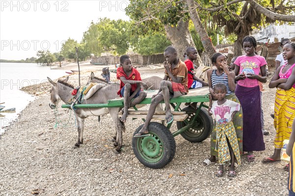 Children with donkey carts on the riverbank