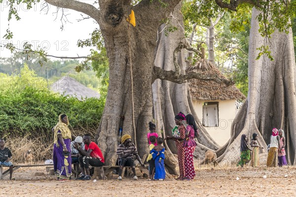Meeting place of the villagers under a large kapok tree