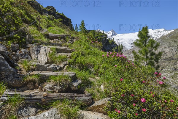 Hiking trail in Innergschloess