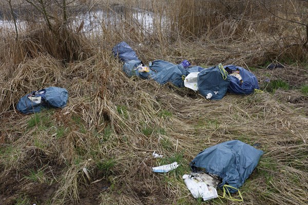 Illegally dumped rubbish in plastic bags