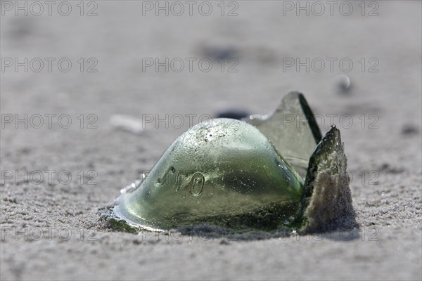 Marine litter washed up on the beach