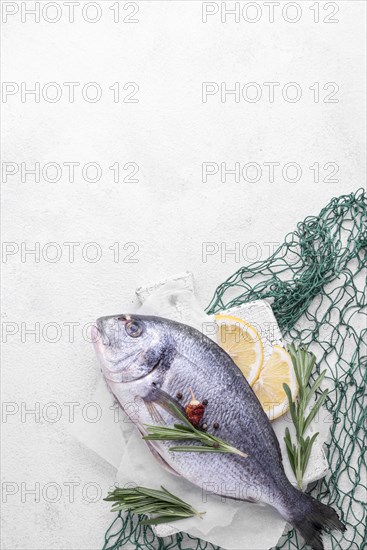 Fresh sea bream fish green fish net