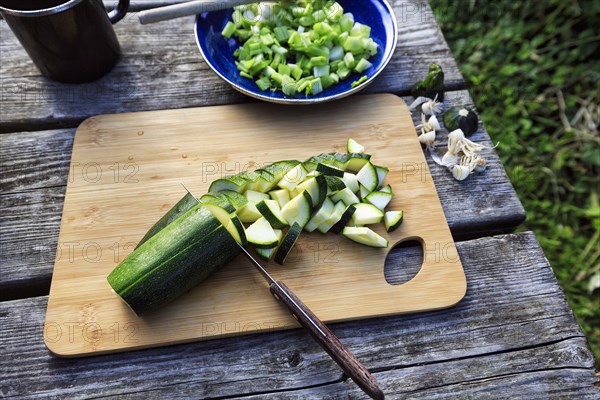 Vegetables on wooden board