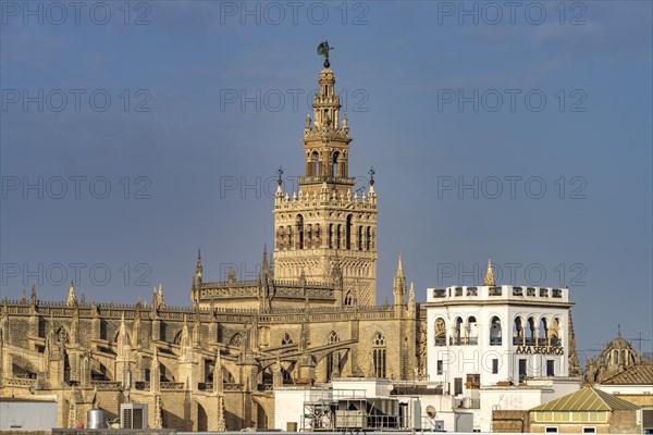 Cathedral of Santa Maria de la Sede in Seville