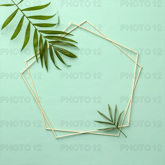 Assortment green leaves with empty frame