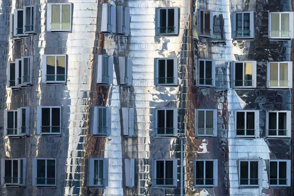 Gehry buildings