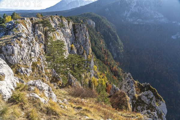 View from the lookout peak Curevac into the Tara Gorge