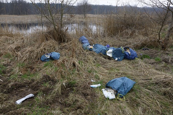 Illegally dumped rubbish in plastic bags