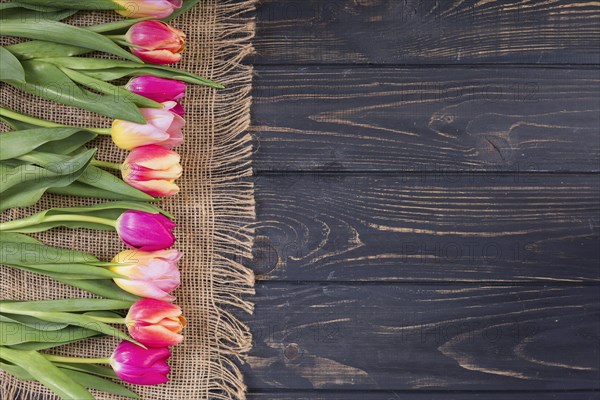 Colorful tulips row rope mat