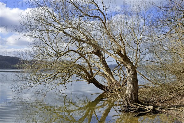 Moehnesee