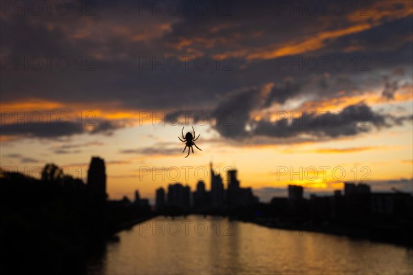 The sun sets behind Frankfurt's bank skyline