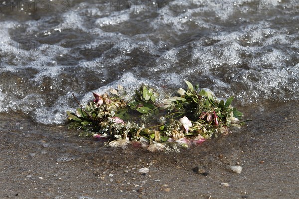 Marine litter washed up on the beach