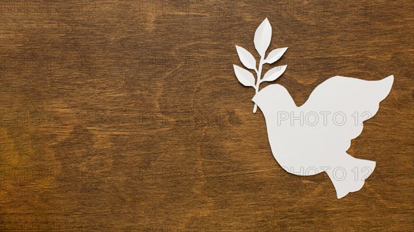 Top view paper dove wooden surface