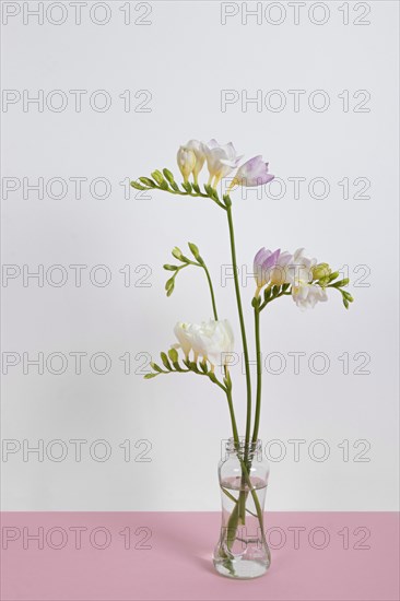 Blossom flowers vase table 1