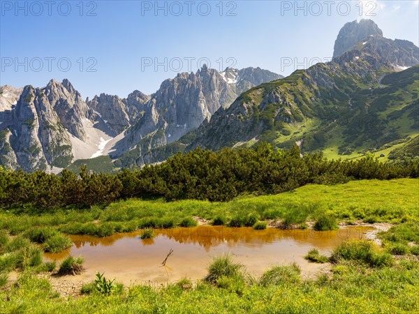 Small pond in front of the peaks of the Gosaukamm