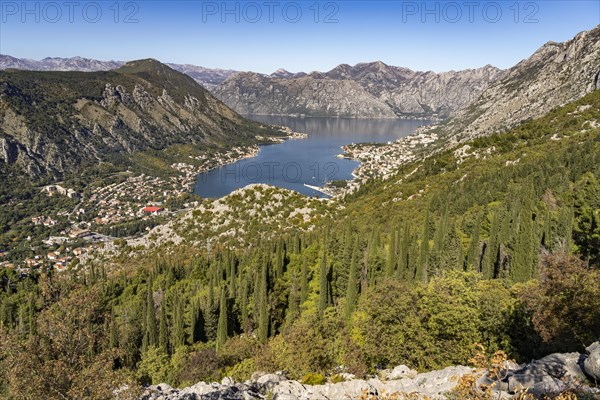 View of Kotor