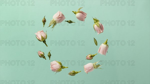 Top view pink spring roses circle with copy space