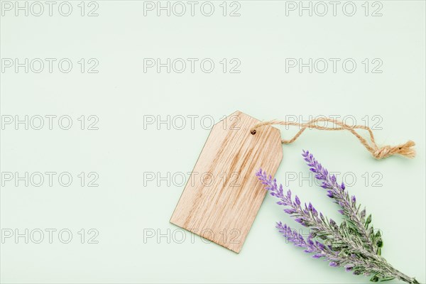 Flat lay arrangement with lavender