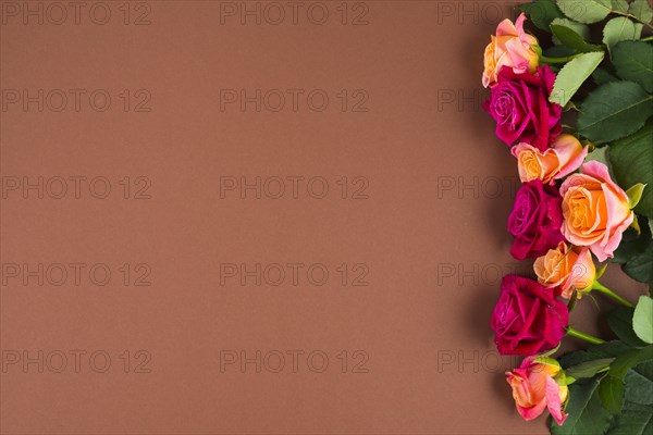 Rose flowers framing one side