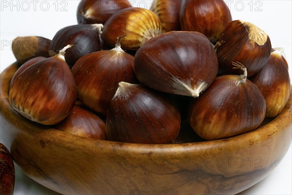 Seasonal chestnuts harvested from the field on a white background