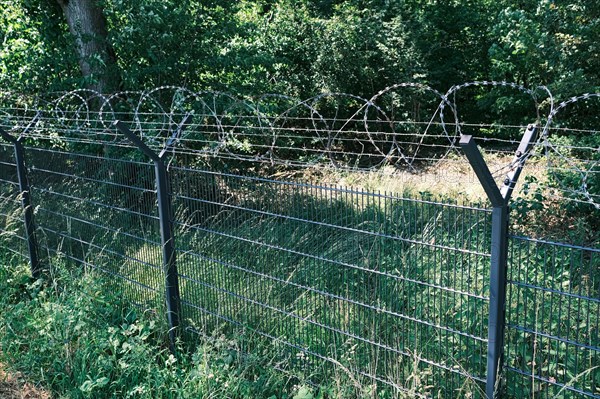 Military security area in the forest