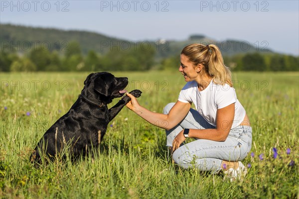 Portrait of a woman and a Labrador dog on a meadow