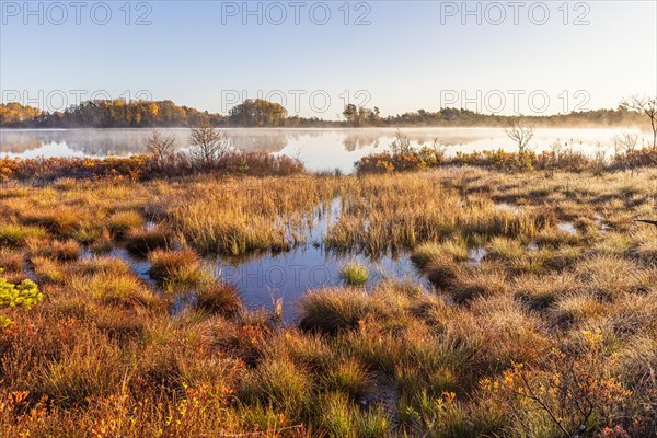 Lakeshore by a bog with fog on the lake in an autumn morning