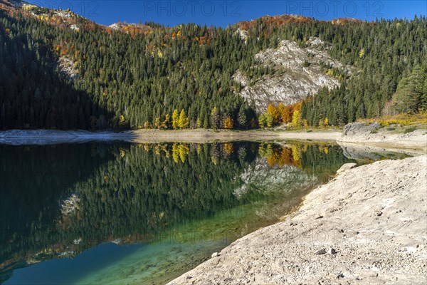 The Black Lake or Crno jezero