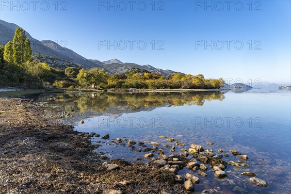 Lake Scutari near the village of Donji Murici