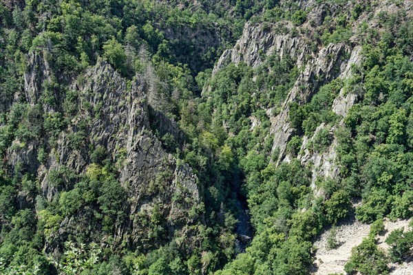 View from the Rosstrappe into the Bode Valley