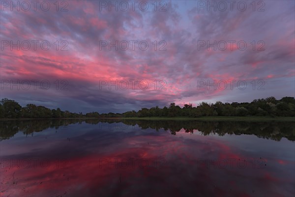 Evening mood in the floodplain forest