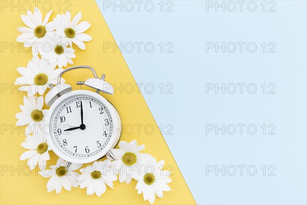 Flat lay frame with clock daisies