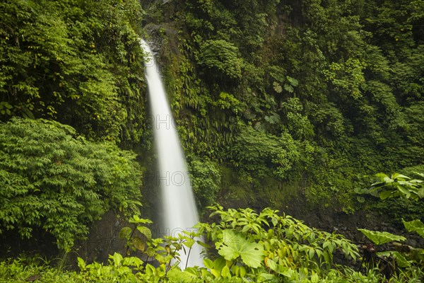 Majestic waterfall rainforest costa rica