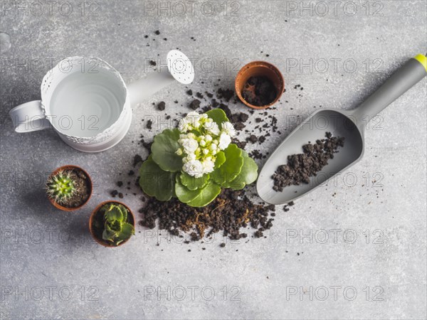 Watering can with seedling soil granite floor