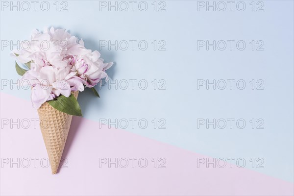 Abstract ice cream cone bouquet flowers