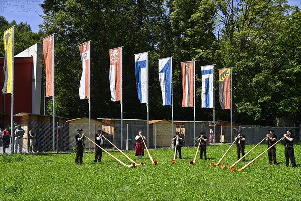 Alphorn blowers and cantonal flags