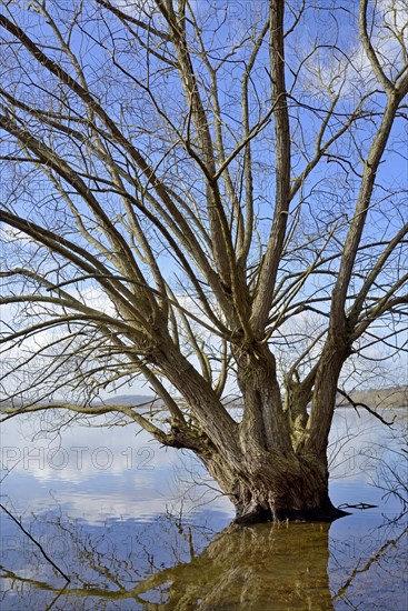 Moehnesee