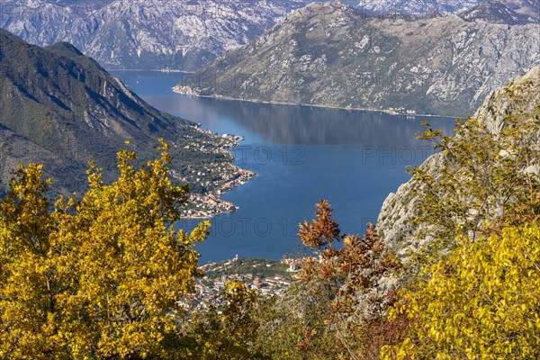 View over the Bay of Kotor