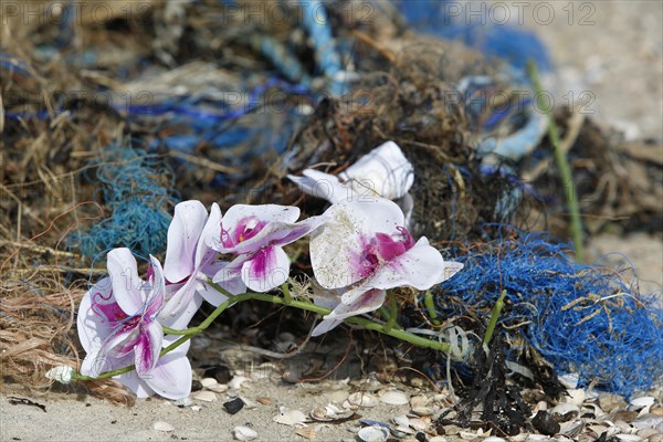 Marine litter washed up on the beach