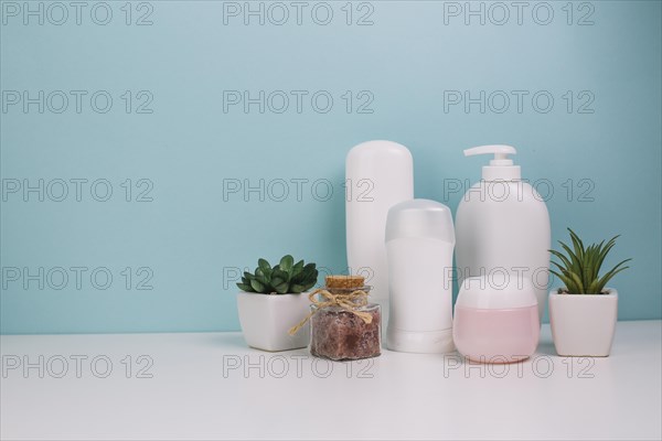 Cute plants near cosmetics bottles